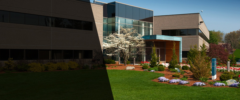 Bealeton Landscapers
