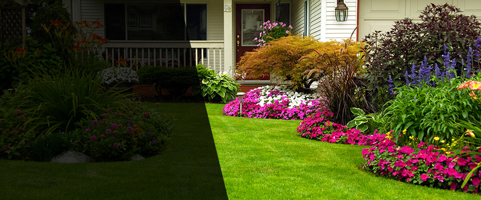 Bealeton Landscapers