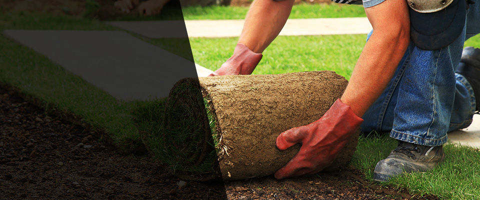 Bealeton Landscapers